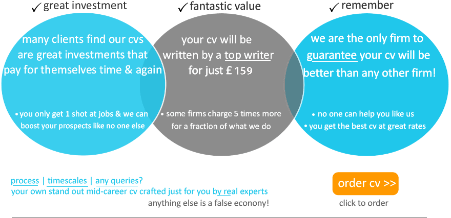 Professional cv writing service essex
